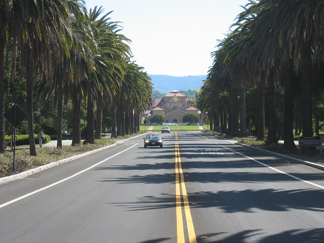 Palmeiras da Palm Drive no campus de Stanford, próximo a Palo Alto.